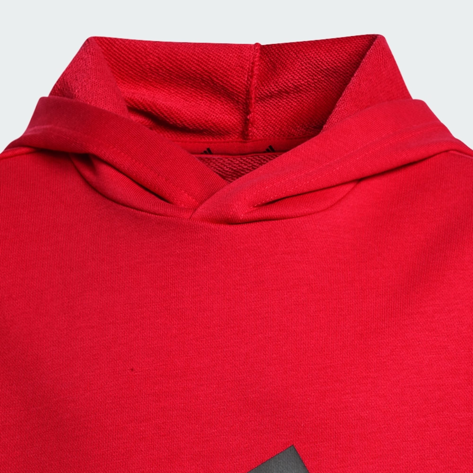 ADIDAS KID'S ESSENTIALS BIG LOGO FRENCH TERRY RUBY HOODIE