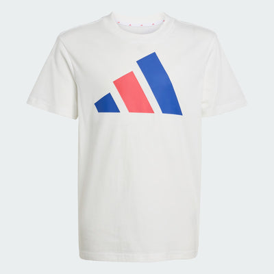 Adidas Kid's Big Logo White/Royal Tee
