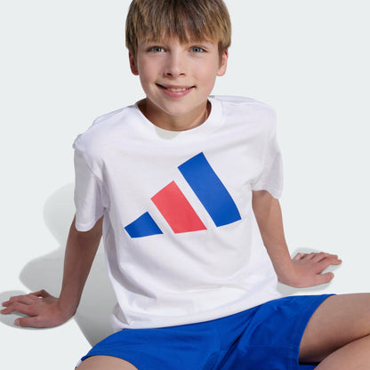Adidas Kid's Big Logo White/Royal Tee