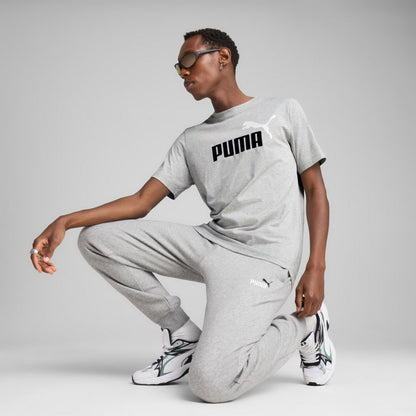 Puma Men's Essentials 2 Colour Logo Grey Tee