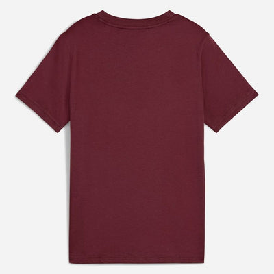 Puma Kid's Essentials 2 Colour Logo Ruby Tee