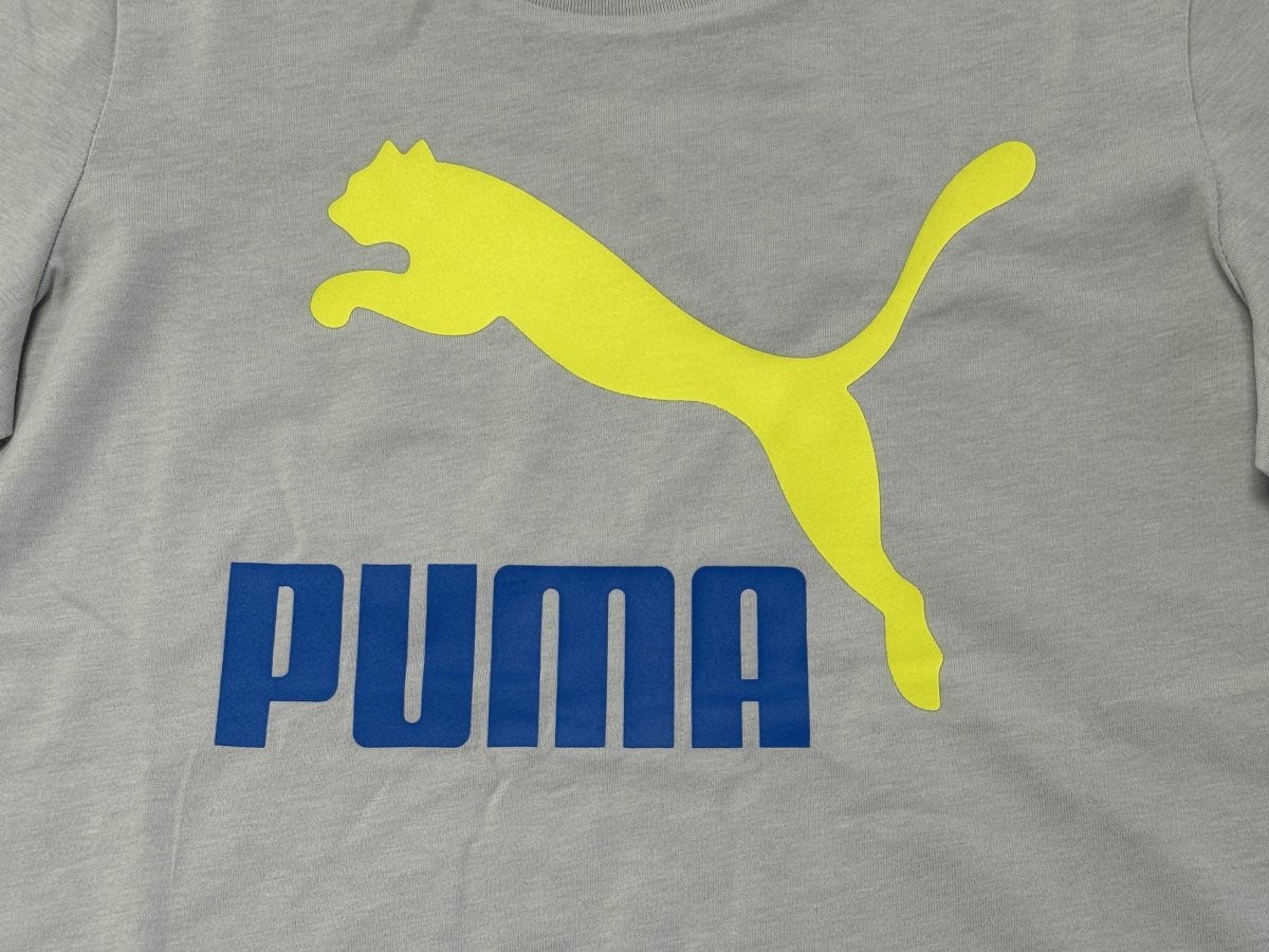 Puma PUMA JUNIOR CLASSIC GREY TEE - INSPORT